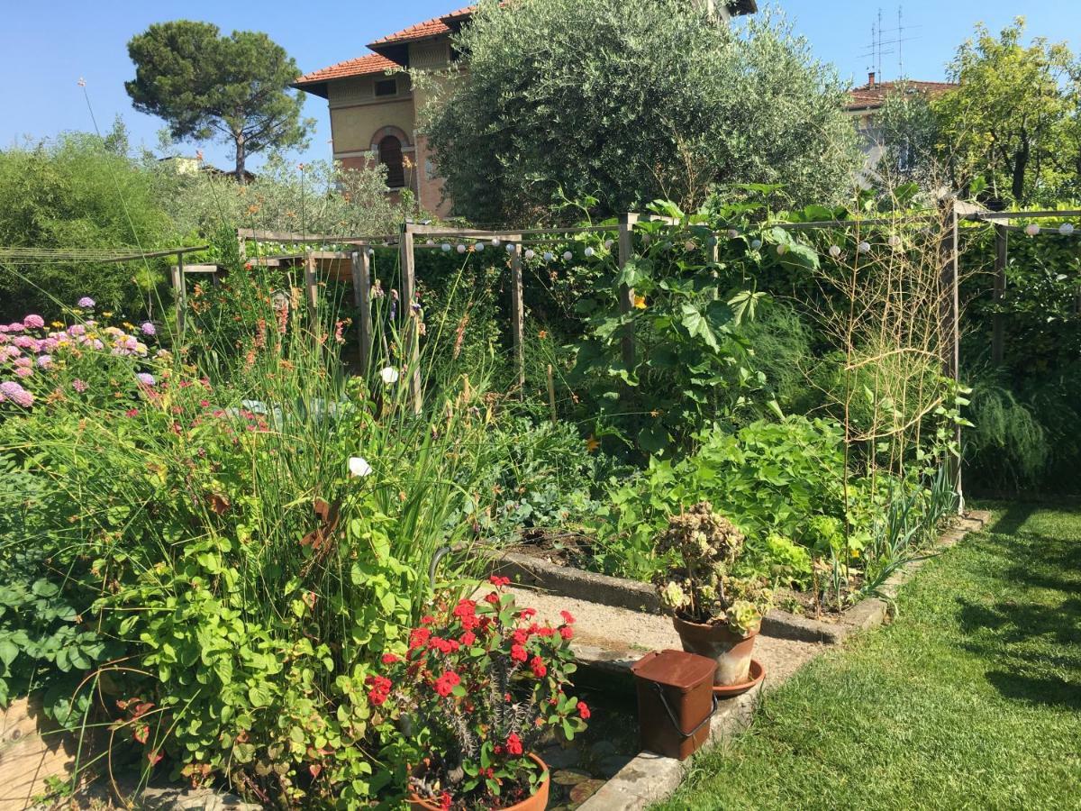 Horto Terapeutico Home Desenzano del Garda Exterior photo